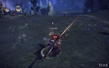 Tera_screenshot_20111229_173106